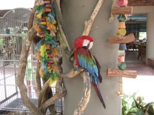 Honeymoon - 090.jpg