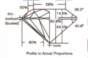 proportions1359.jpg