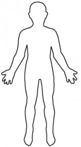human-outline.jpg