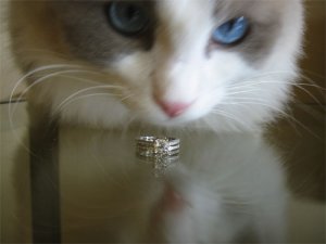 IMG_2222.jpg