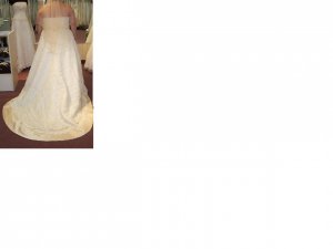 back of zoes dress and veil.JPG