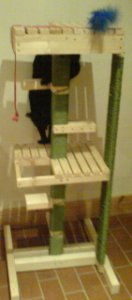 mittenscratchypost.jpg