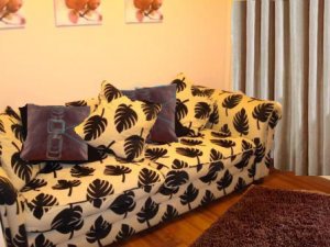 sofaphotobrown2.jpg