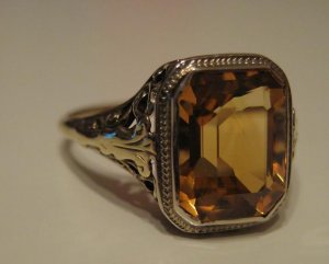 BlenheimCitrine1.jpg BlenheimCitrine1.jpg