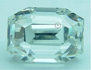 ccrsc2StepCrownfeatherI.JPG
