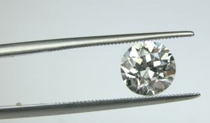 OWA17647a.jpg