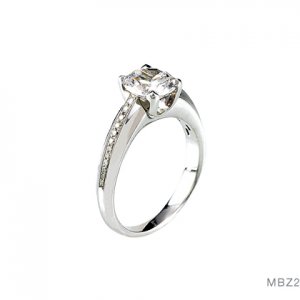 mbz2prongs.jpg