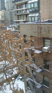 NY Snow.JPG