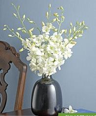 pretty orchid arrangement.JPG