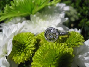 My engagement ring2-16-08 01002.jpg