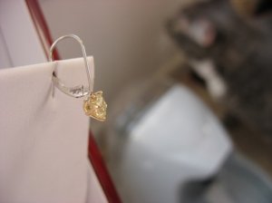 IMG_0596asdf.JPG