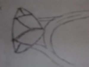 ring profile SIDE.jpg ring profile SIDE.jpg