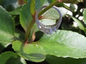 Foilage side view of ring.JPG
