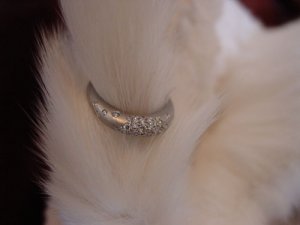 kittybling3.jpg