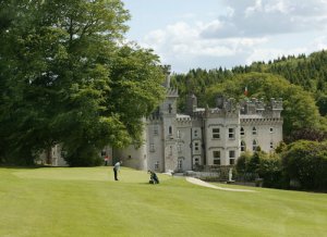 beeinthecastle.jpg
