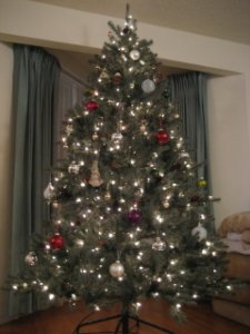 IMG_5406..jpg