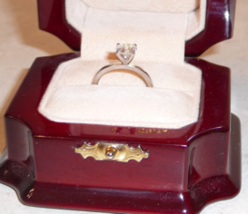 e_ring_plat3.jpg