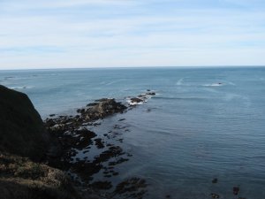 mendo coastline.jpg