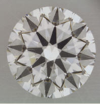 8x_image_newbie124.jpg