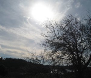 mendo view town.jpg