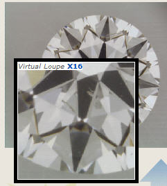 16x_image_newbie124.jpg