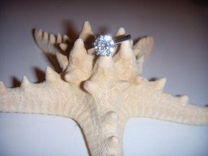 ringblingseashell.JPG
