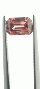brownpink1.14.gif