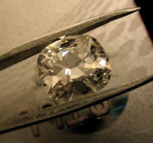 DSC02814d.jpg