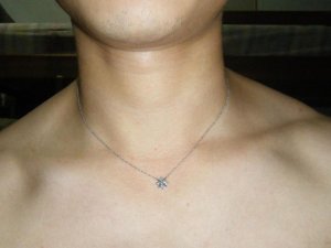 Pendant 005 (Large).jpg Pendant 005 (Large).jpg