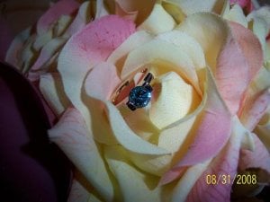 ring in flower p.JPG