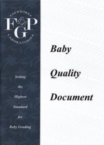 bqd-cover.jpg
