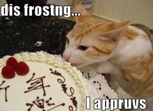frostngcat.jpg
