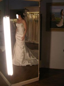 Wedding dress pics 150a.JPG