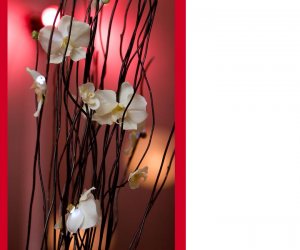 Centerpieces11111.JPG