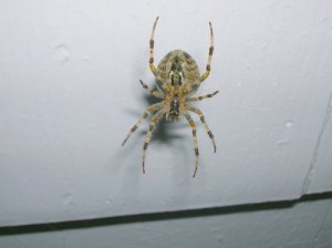 DSCN26151.JPG