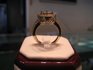 IMG0008.JPG