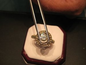 IMG0022.JPG