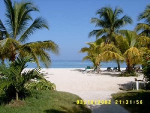 Beautiful Jamaica.jpg