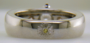 Winter-Garden-Ring-4.gif