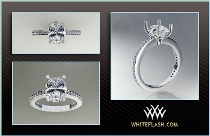WF CAD ring small.jpg