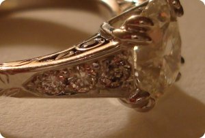 vbDSC01009.JPG