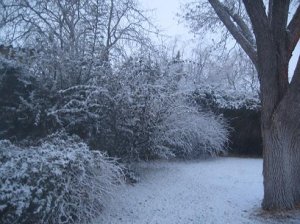 IMGsnow0816.JPG