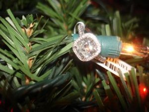christmaspicdk.jpg