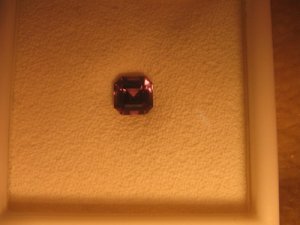 DaynaAsscher2.jpg