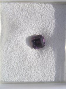 DaynaAsscher6b.jpg