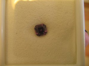 DaynaAsscher9.jpg