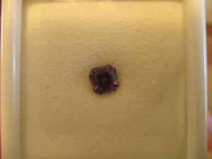 DaynaAsscher10.jpg
