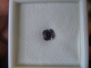 DaynaAsscher11.jpg