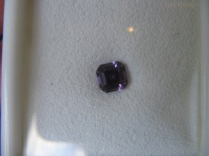 DaynaAsscher12.jpg