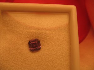 DaynaAsscher14.jpg